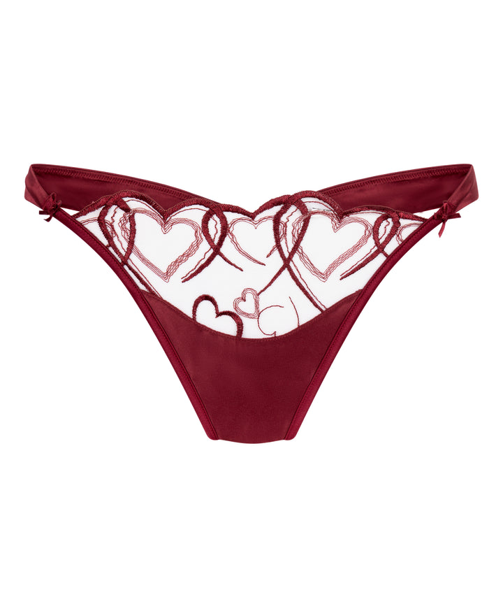 Heart Embroidered Mesh Satin Brief