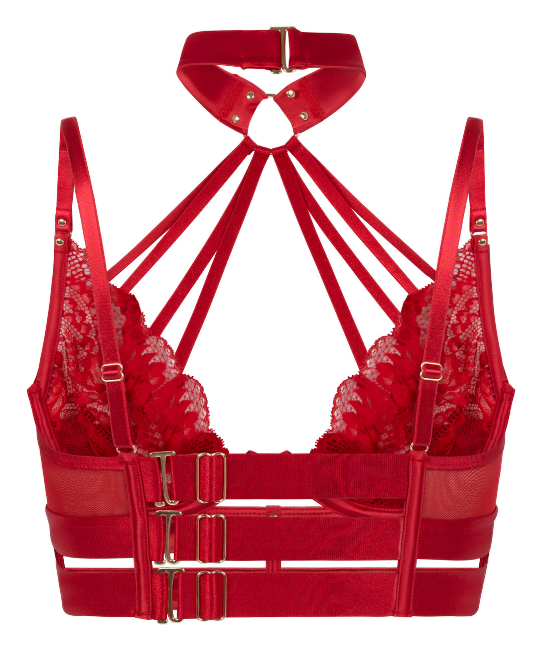Strappy Lace Harness Choker Underwire Bralette