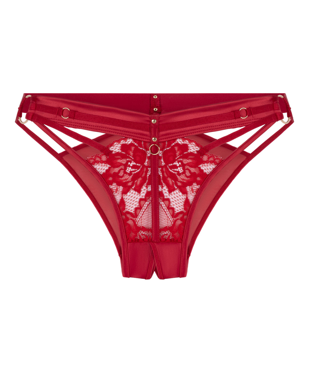 Strappy Lace Panel Brief with Gold Ring Details