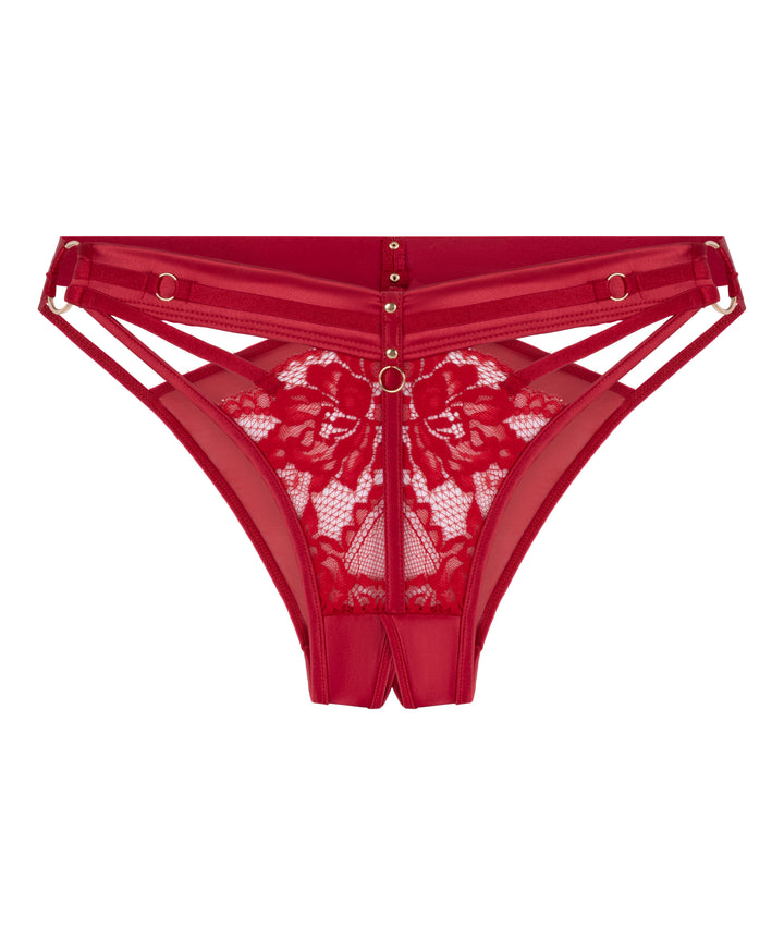 Strappy Lace Panel Brief with Gold Ring Details