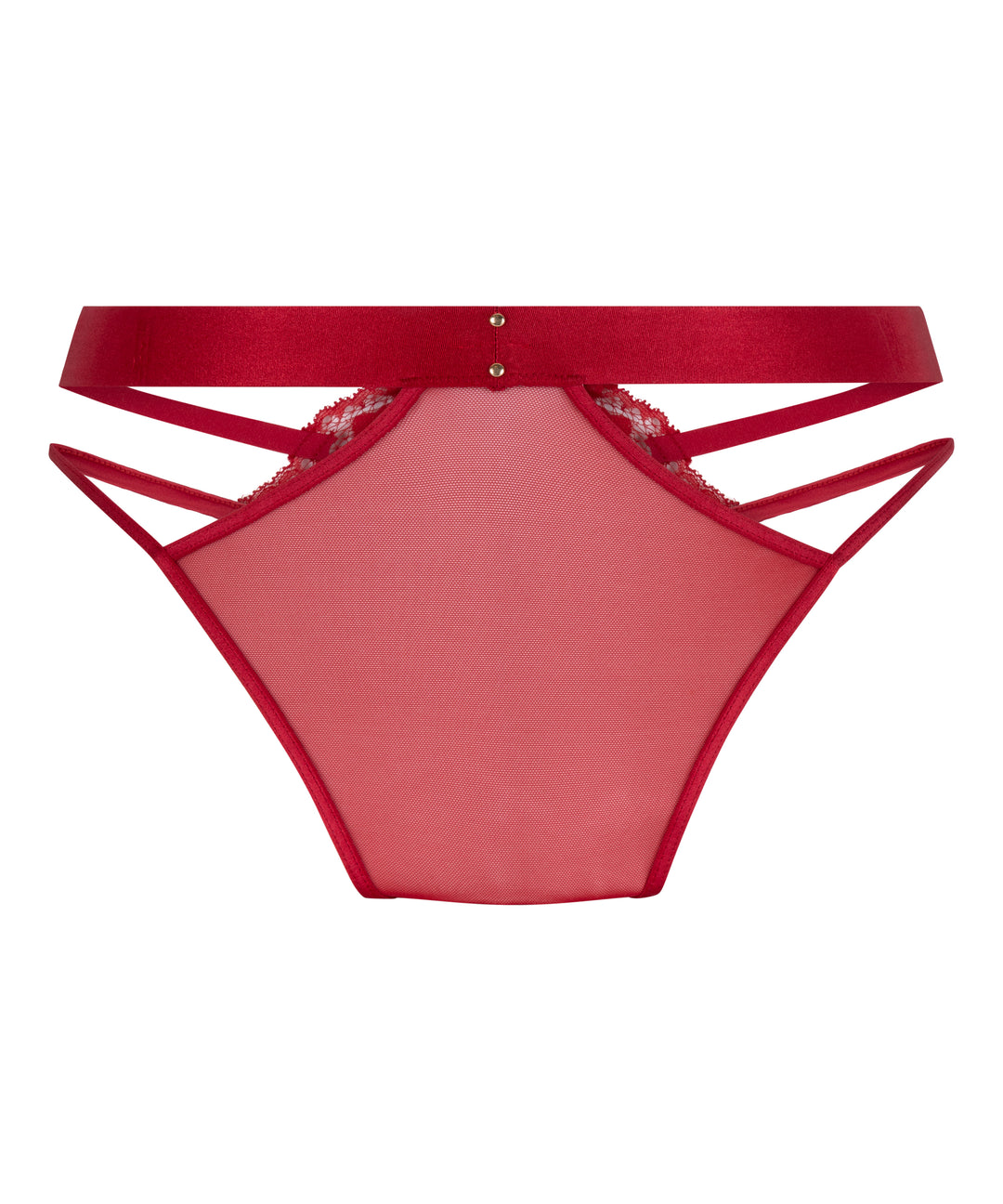 Strappy Lace Panel Brief with Gold Ring Details