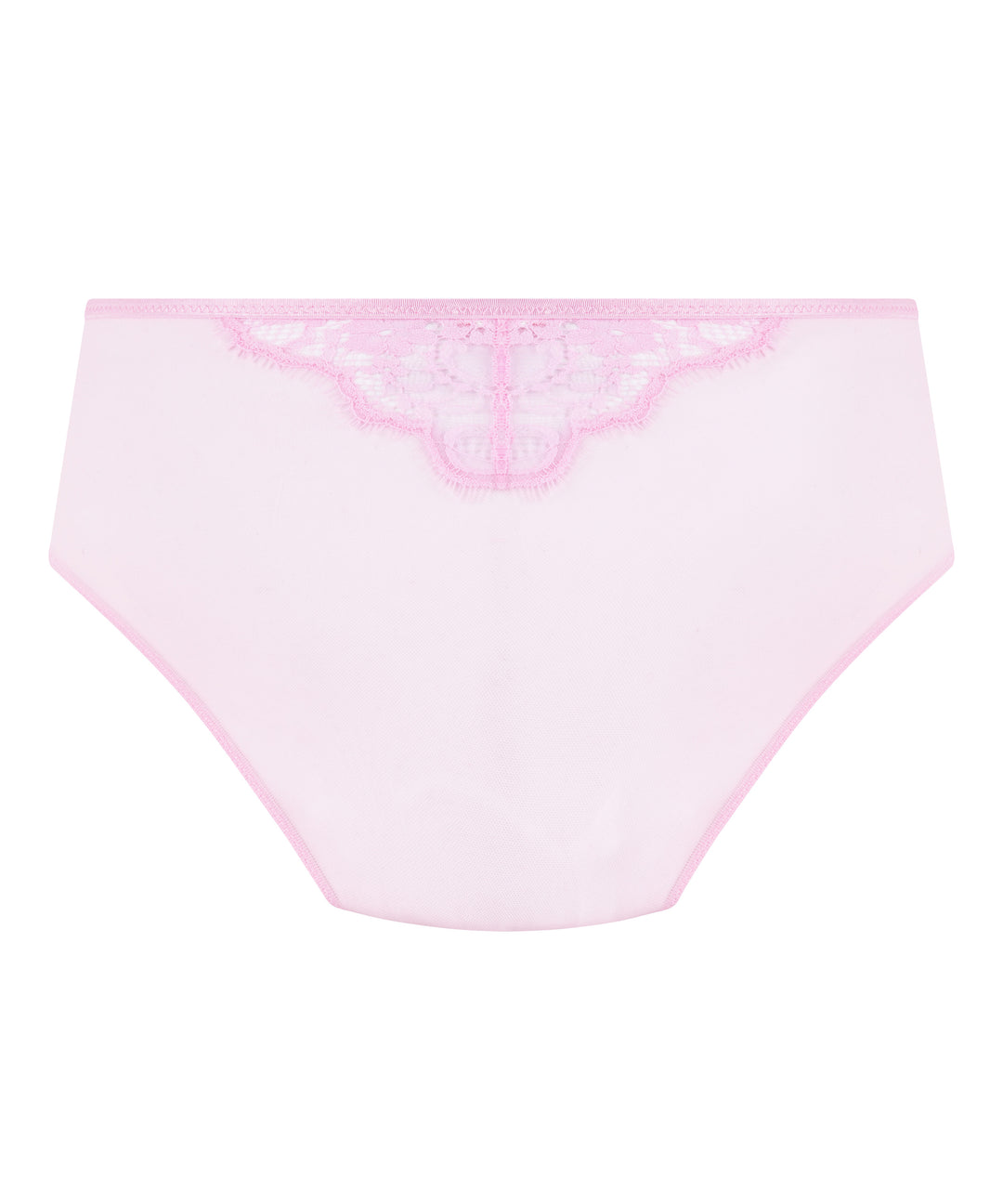 Floral Lace Mesh Brief with Charm Detail