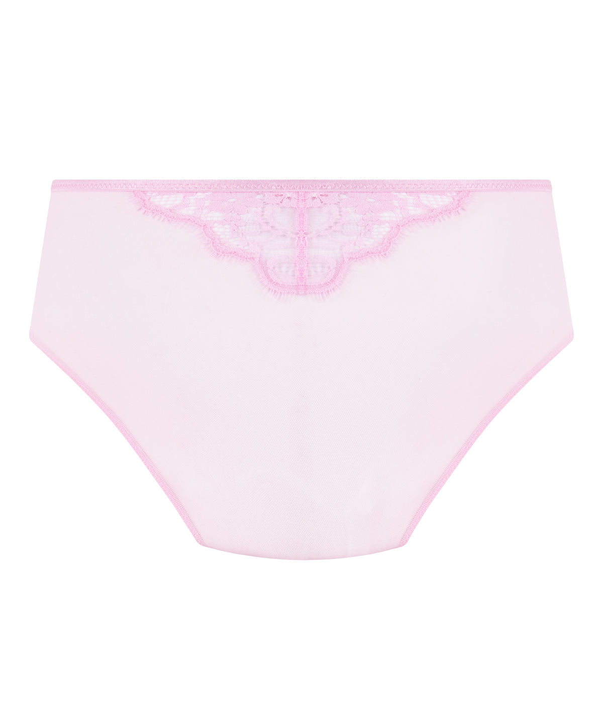 Floral Lace Mesh Brief with Charm Detail