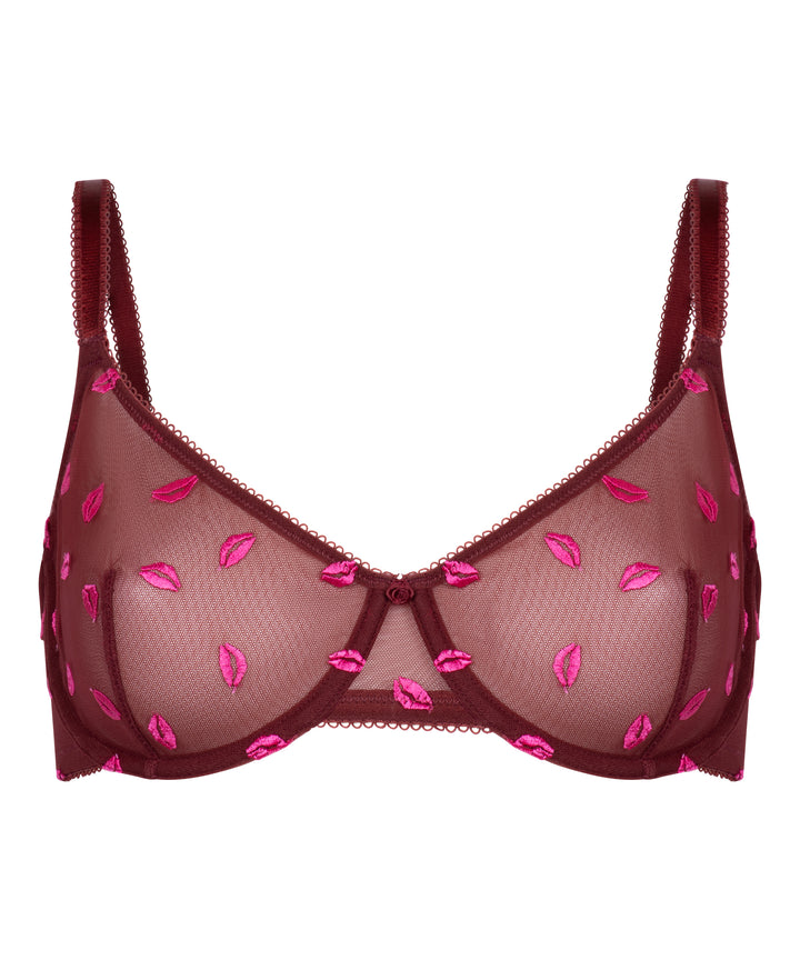 Sheer Mesh Lip Embroidered Underwire Bra