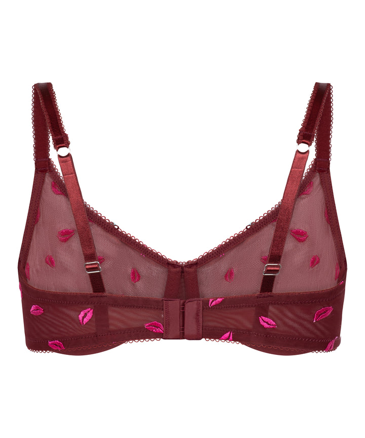 Sheer Mesh Lip Embroidered Underwire Bra