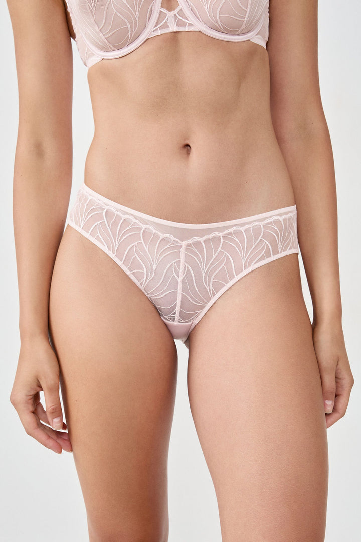 Brief - Rose