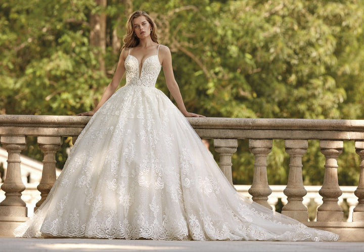 DP461 - Ivory