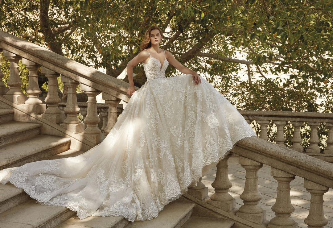 DP461 - Ivory