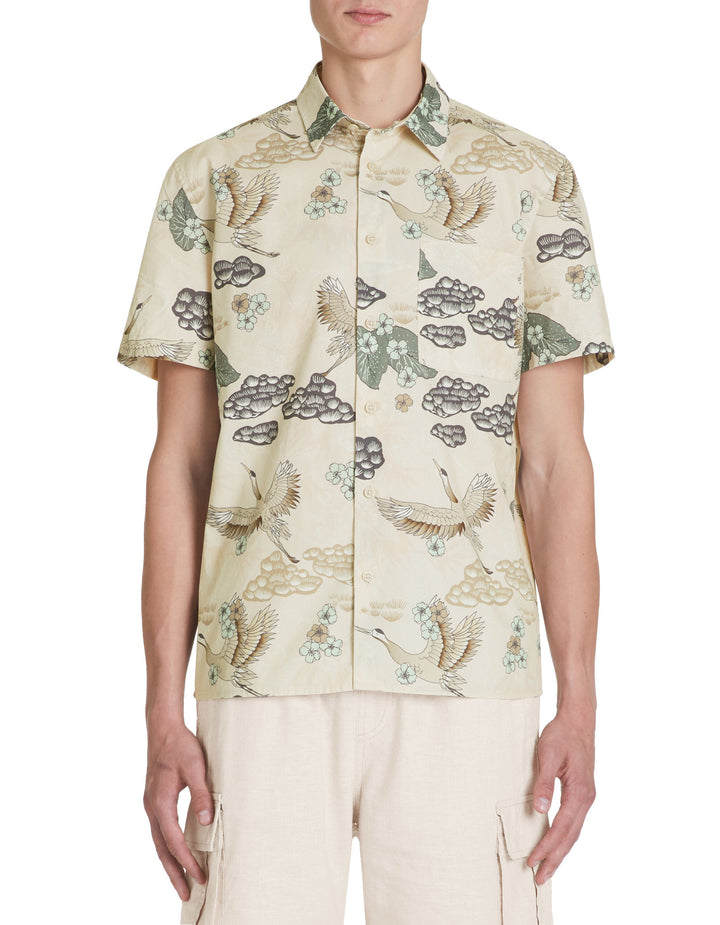 Short Sleeves Shirts - Black