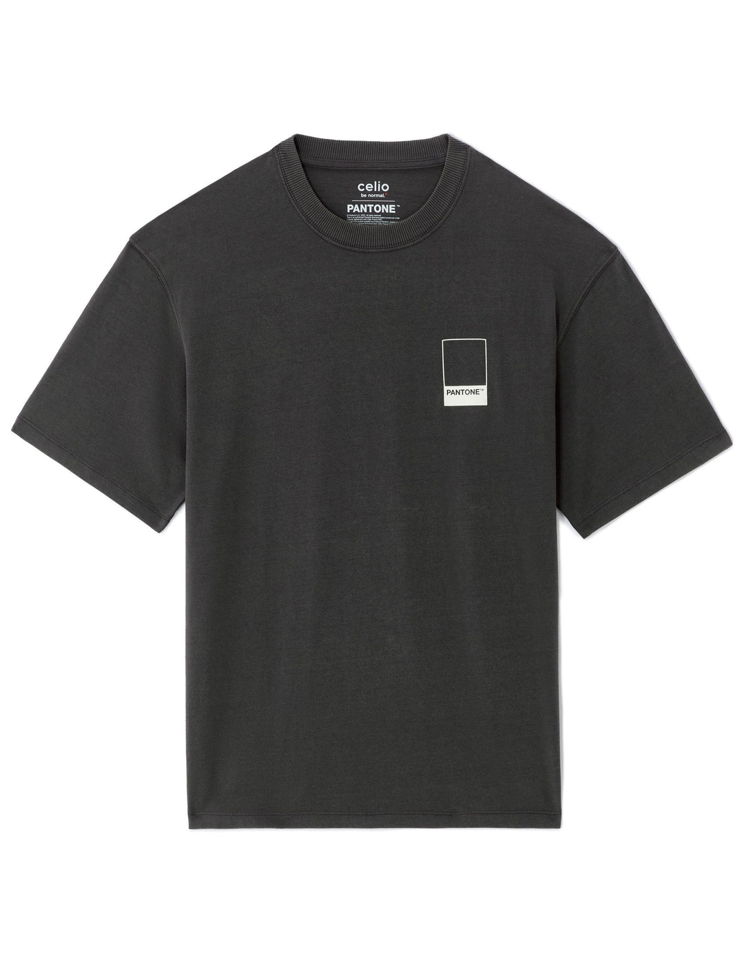 TEE SHIRT - Grey