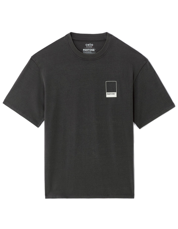 TEE SHIRT - Grey