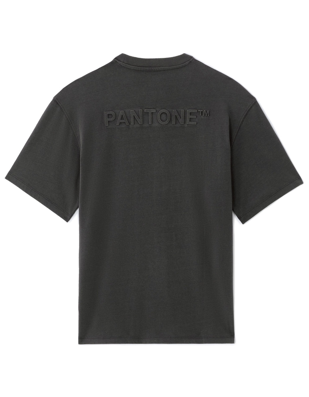 TEE SHIRT - Grey