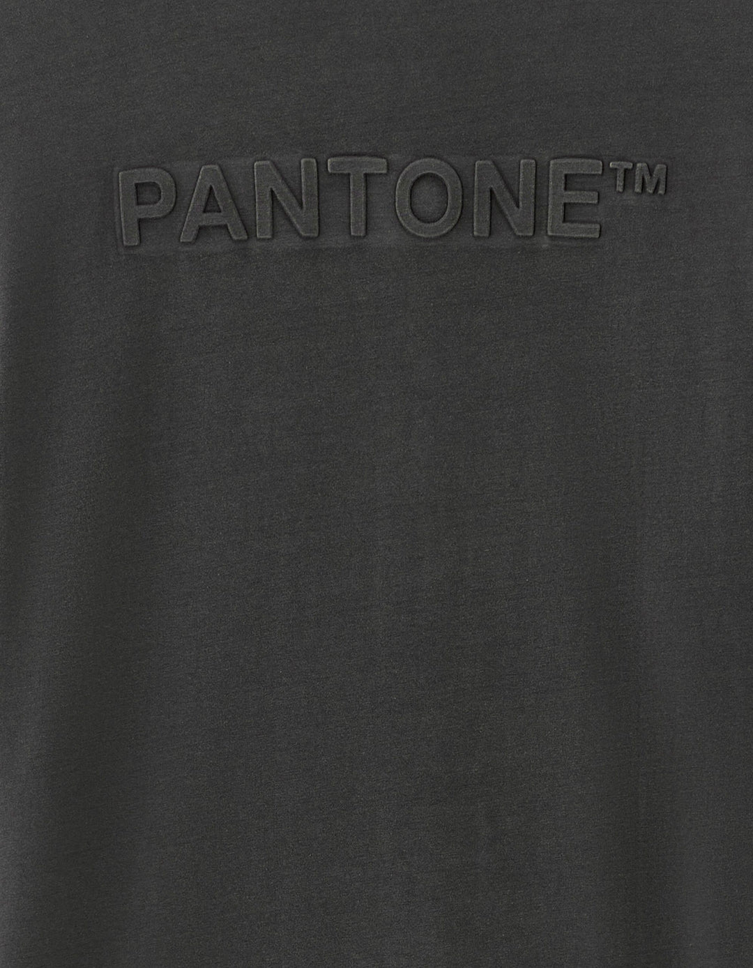 TEE SHIRT - Grey