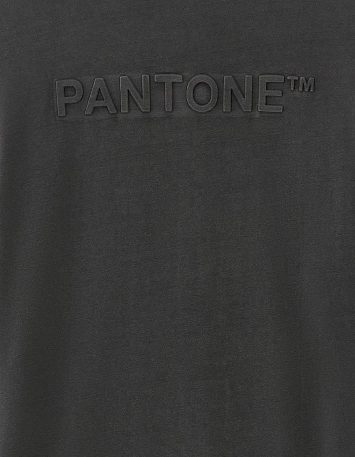 TEE SHIRT - Grey