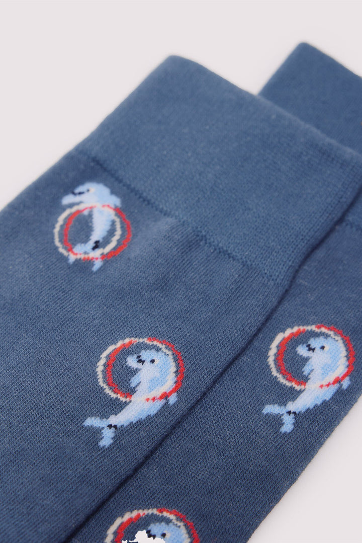 Spring Field Accessories - Blues