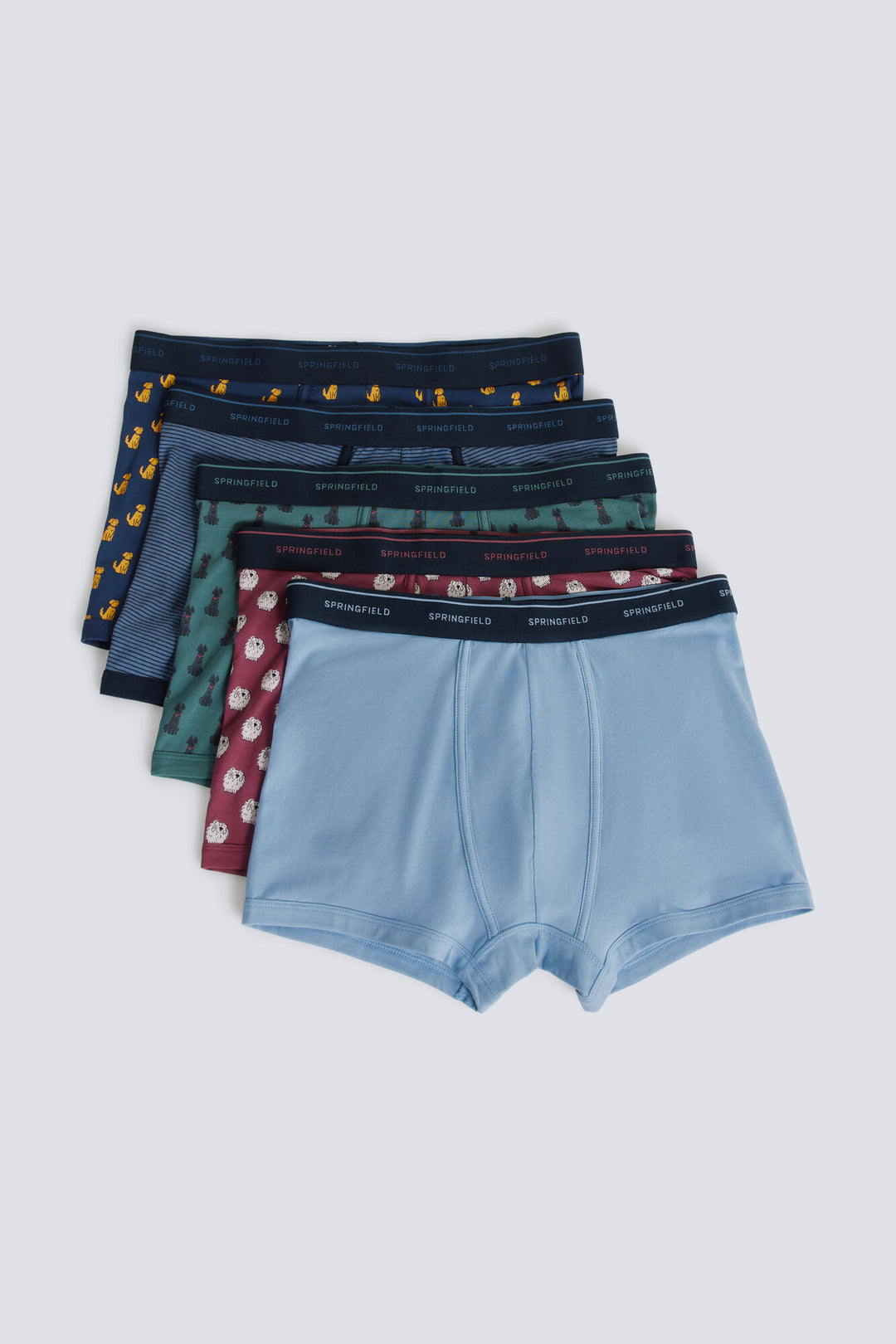 Boxer - Green