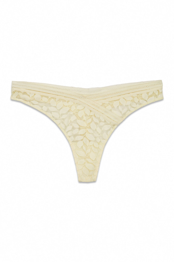 BRIEF - Tan