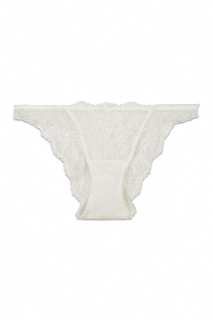 BRIEF - Ivory