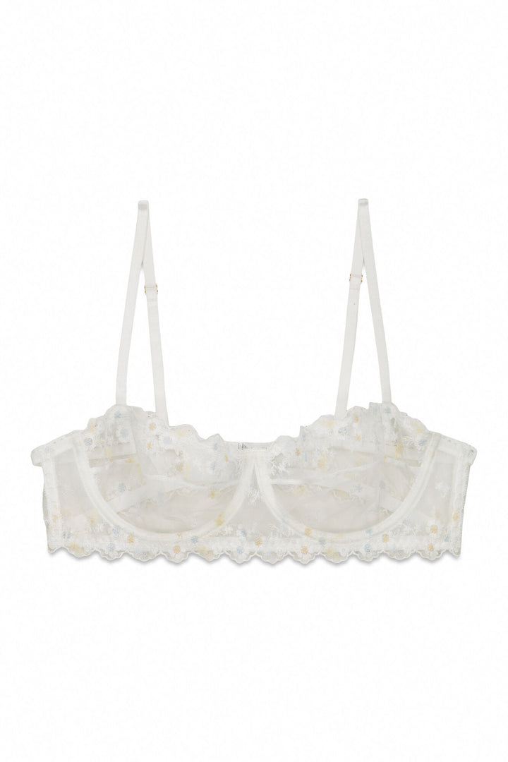 BRA - Ivory