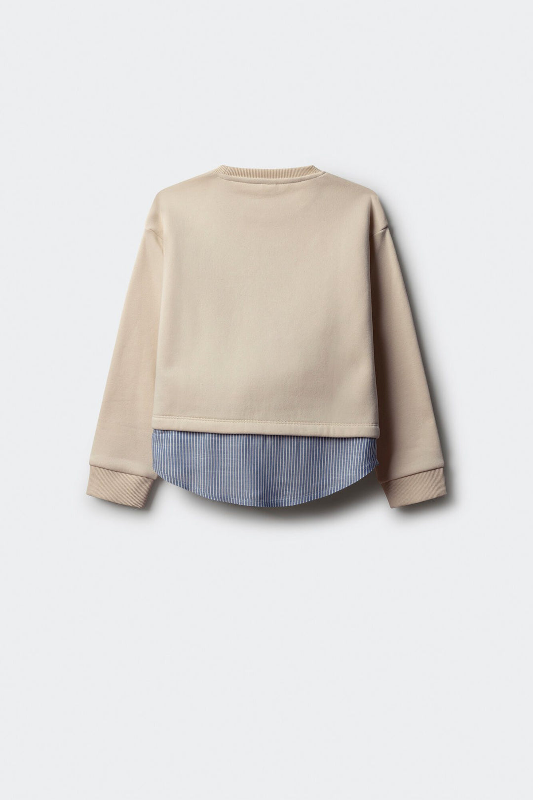 Sweatshirt - Multicolor