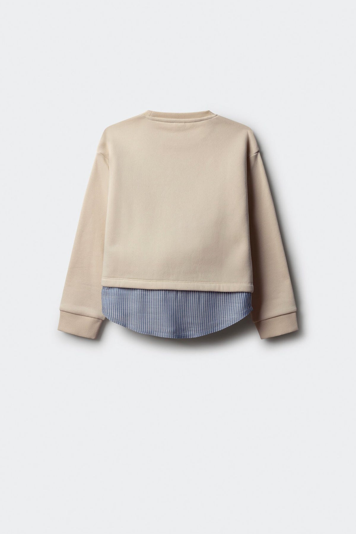 Sweatshirt - Multicolor